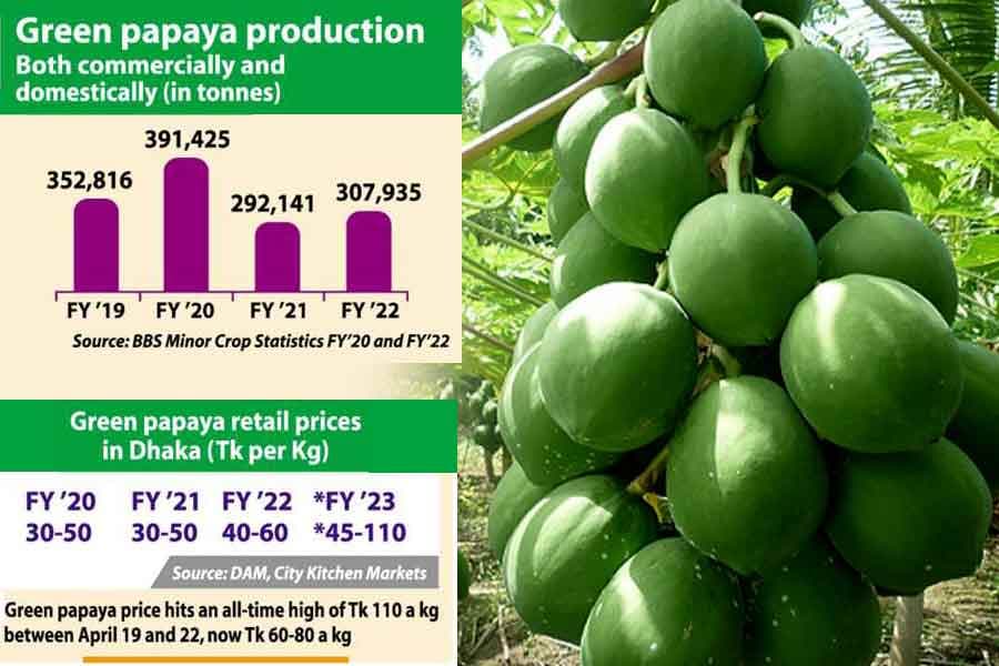 So cheap green papaya now so dear