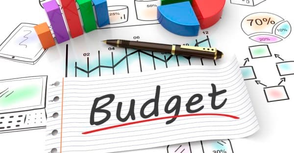 Budget execution slow, dev spending slowest