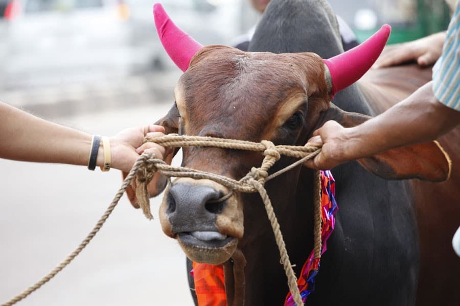Eid-ul-Azha -- meaning of sacrifice