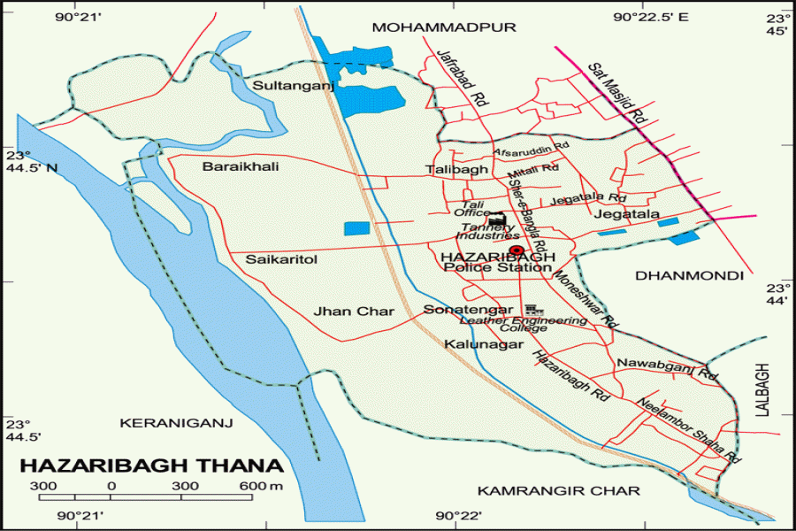 No ban on rawhide entry to Hazaribagh