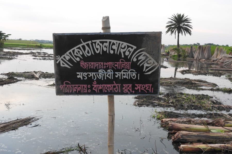 Fishermen stand by jute  growers in Magura