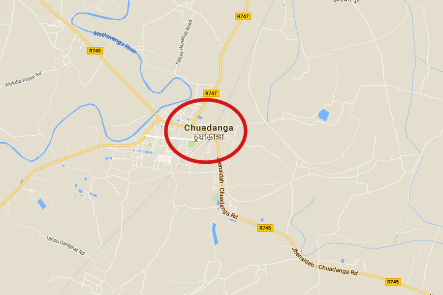 Chuadanga woman dies from snakebite