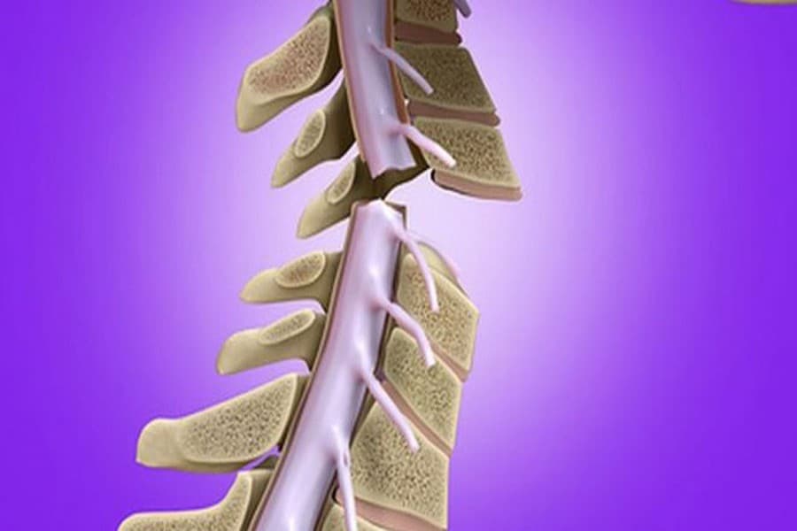 Drug therapy 'restores breathing' after spinal injury