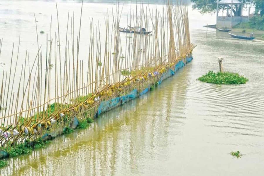 Chalan Beel bamboo-made enclosures threaten small fish species