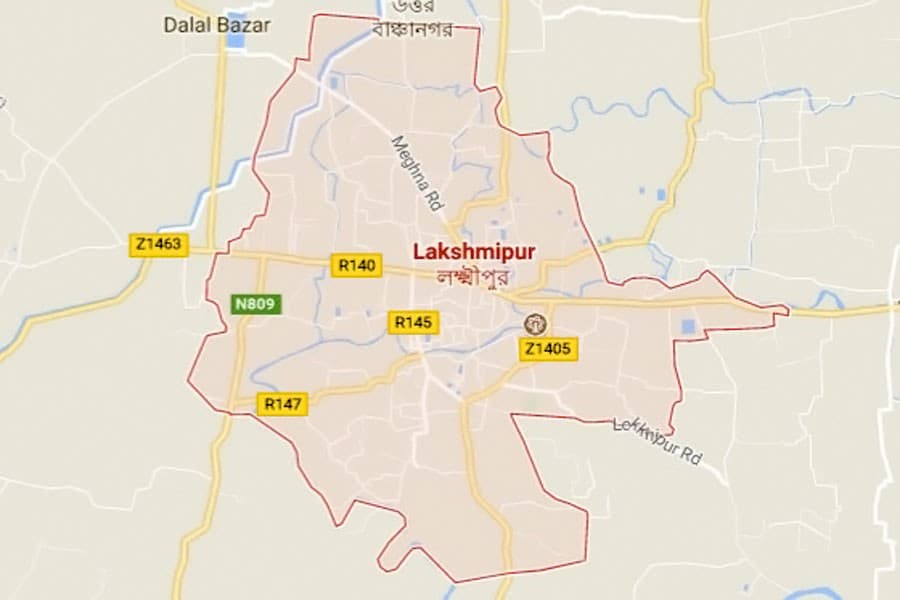Lakshmipur road crash kills schoolboy