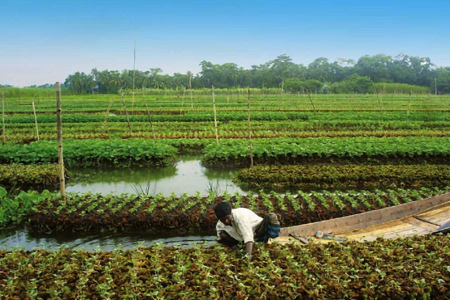 Crop protection embankments work in Sunamganj set to begin December 15