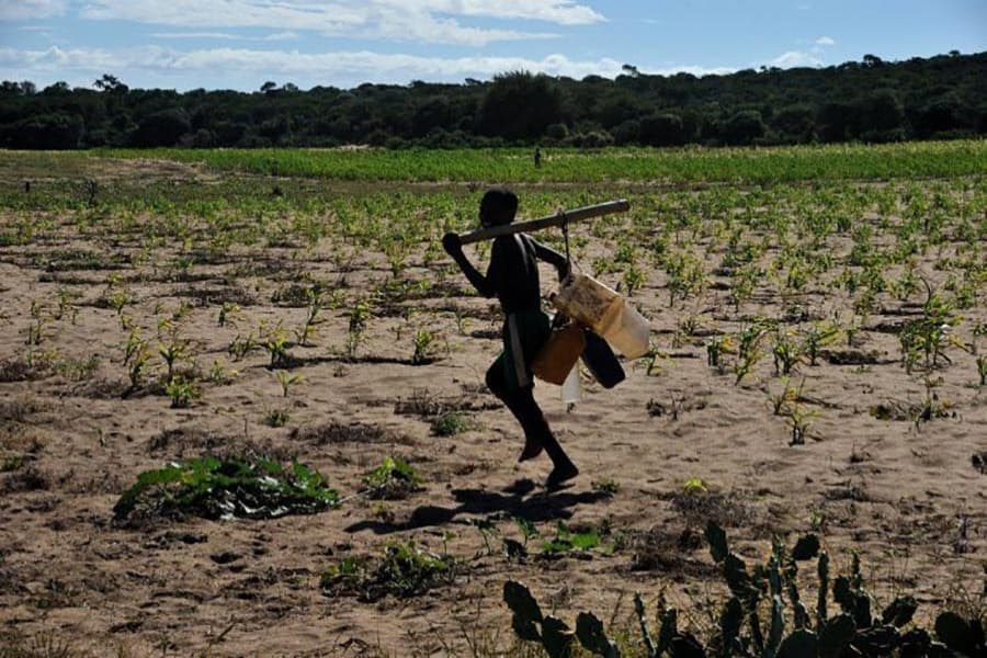 Madagascar gets $44.5m IMF loan to boost struggling economy