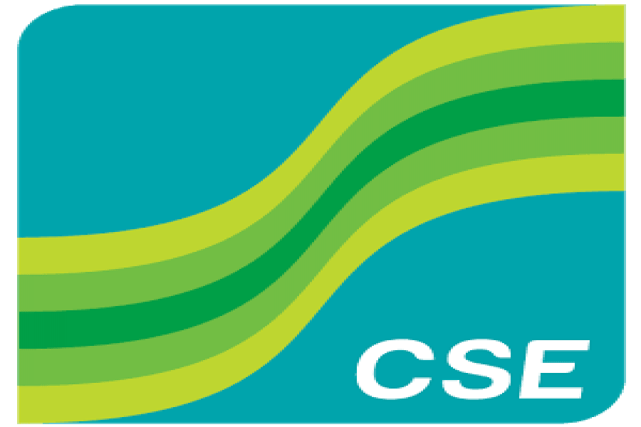 CSE places proposals on capital market