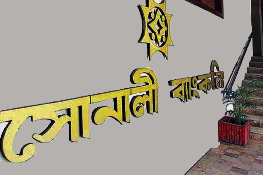 Loan-recovery drive falters as defaulters bamboozle Sonali Bank