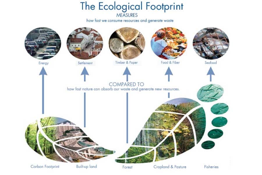 Urban sustainability in terms of ecological footprint