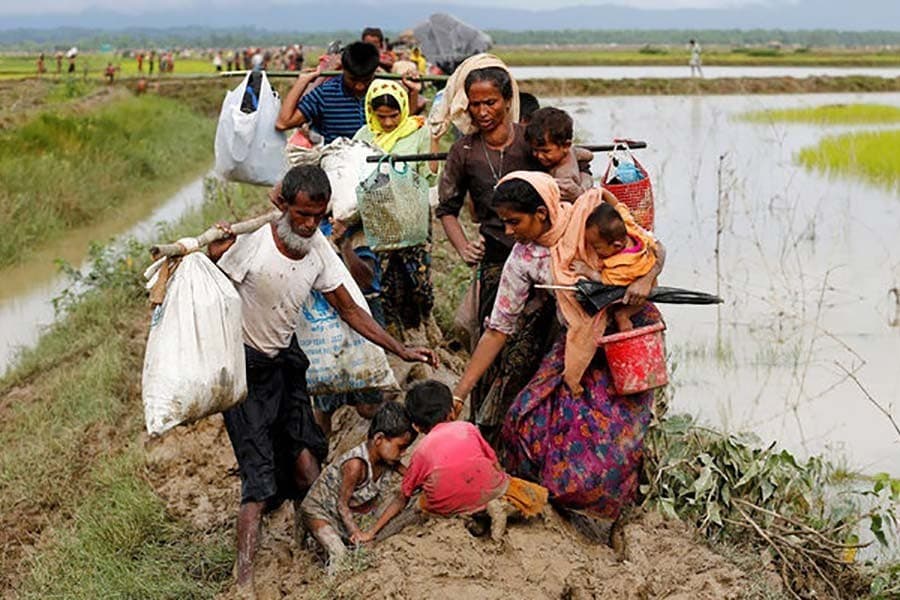 FAO, IOM bring livelihood opportunities for Ukhiya, Teknaf farmers