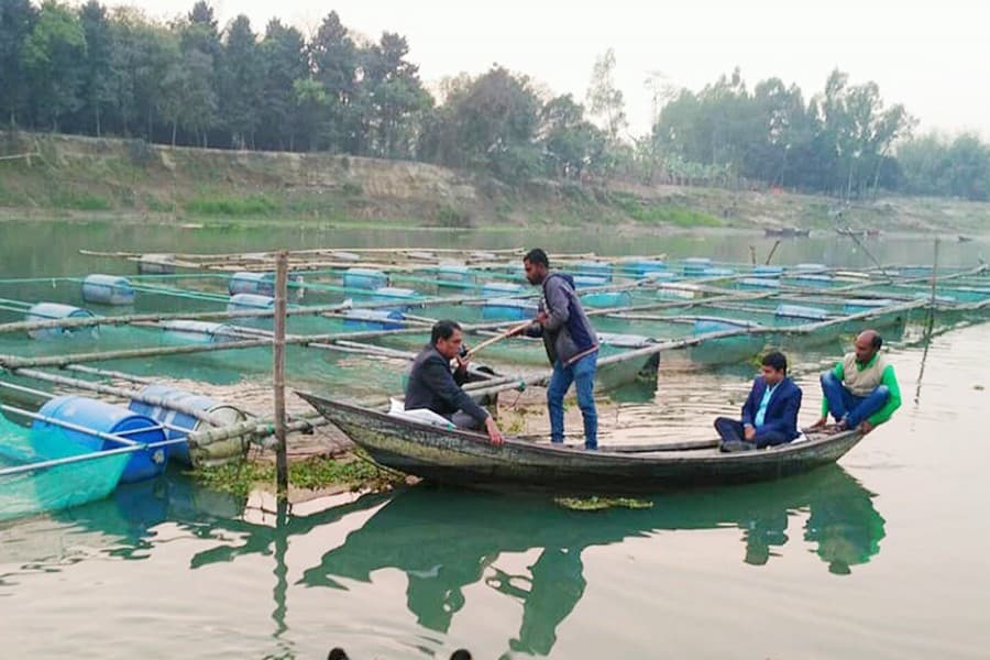 Fish farming in floating enclosures turns into profitable venture in Pabna