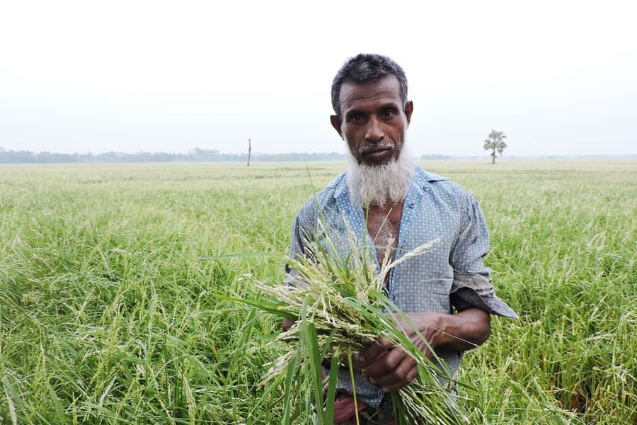 Nor'wester damages betel leaf, Boro land in Magura