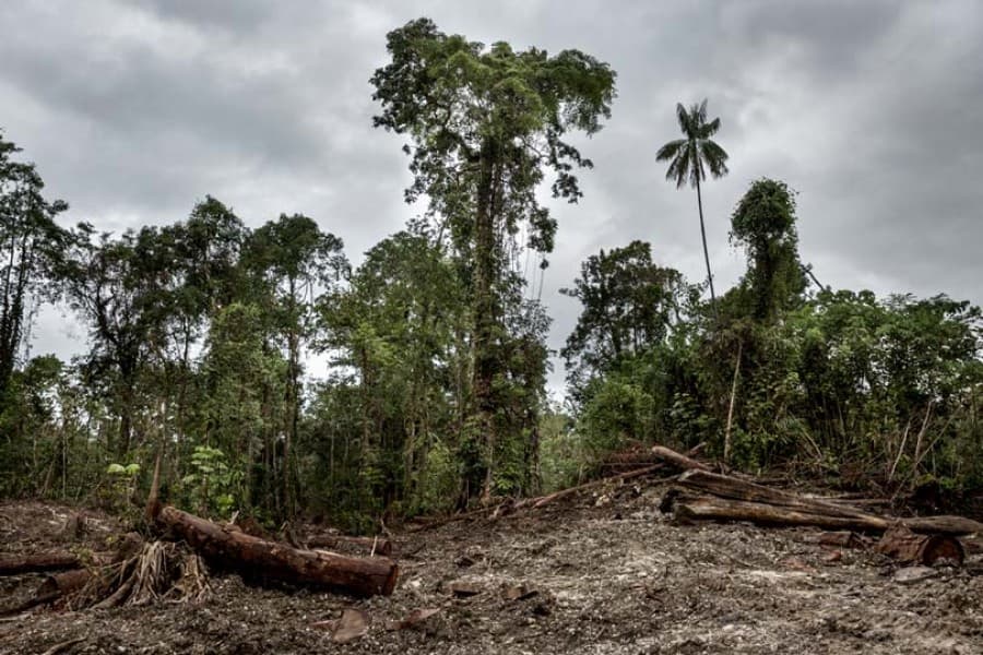 Ensuring enforcement of environmental governance