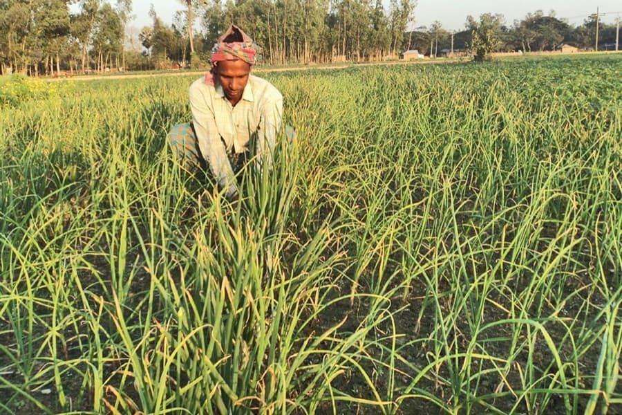 Inadequate allocation for agriculture irks rights groups
