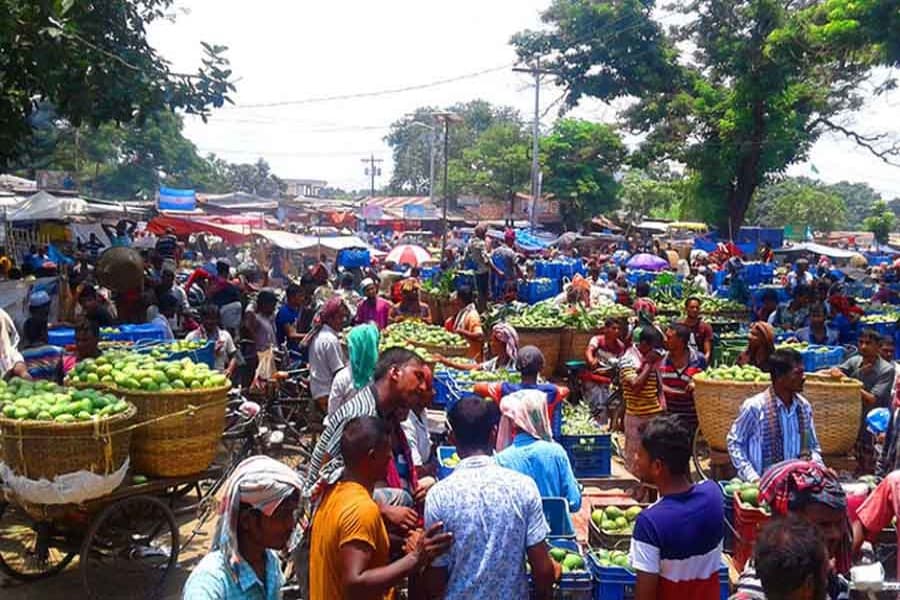 Increasing supply leads to lower mango prices