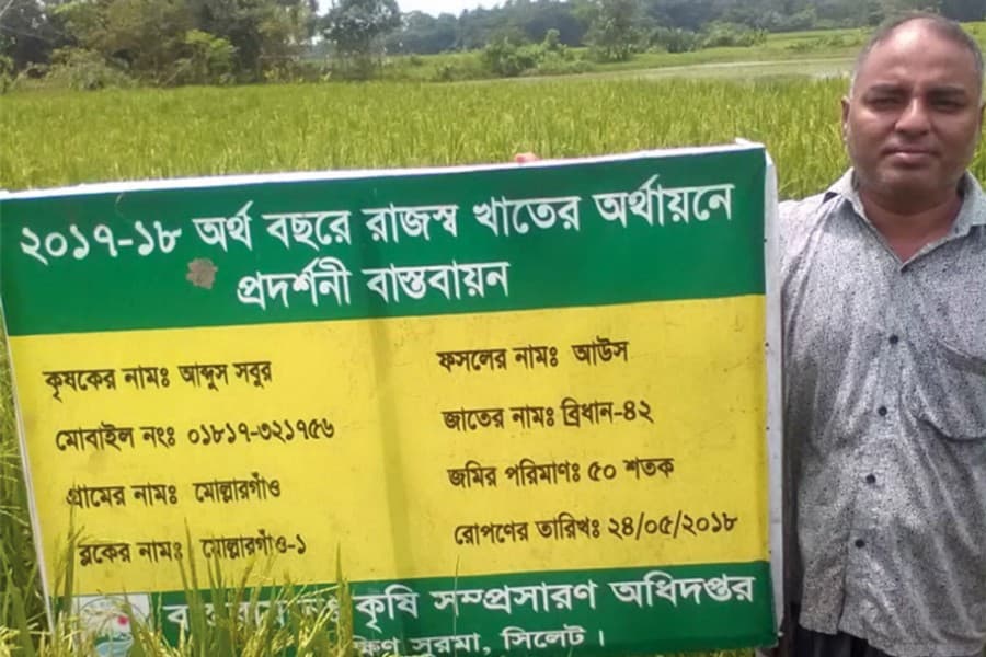 Farmers expect good Aus yield in Sylhet div
