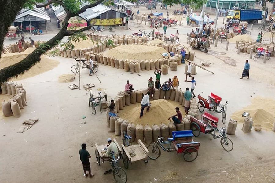 Rice yield hits record high