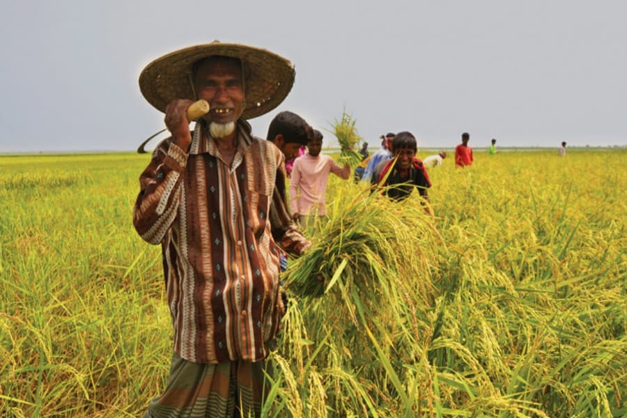 Govt provides Tk 602.68b as subsidies for agriculture in 9 yrs: Matia