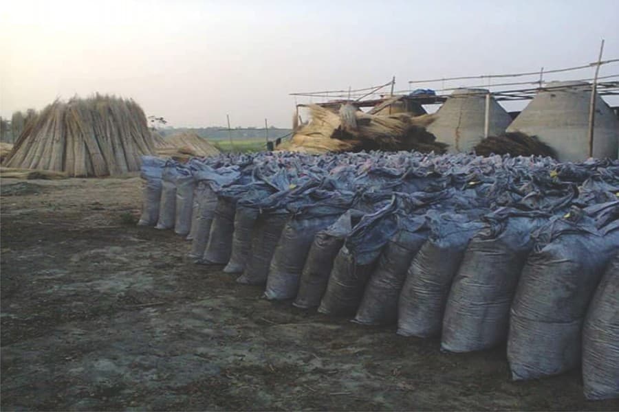 Developing jute-stick ash as an export product
