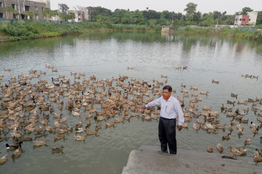 Jhenidah ATI students take interest in integrated duck, fish farming