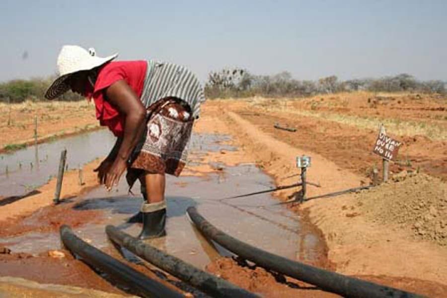As climate change pummels agriculture, irrigation offers the best protection