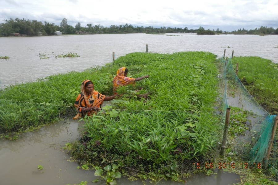 Floating gardens: Answer to decreasing agricultural lands