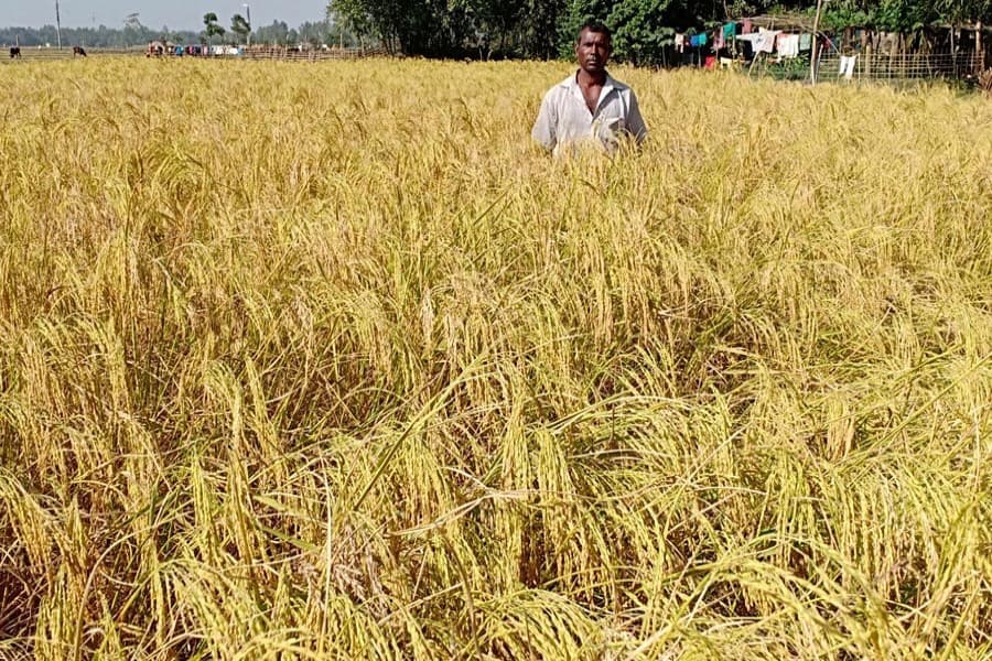 Comprehensive farm database on the cards