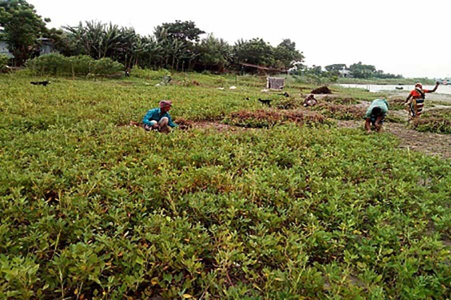 Charlands: Formulating inclusive development programme