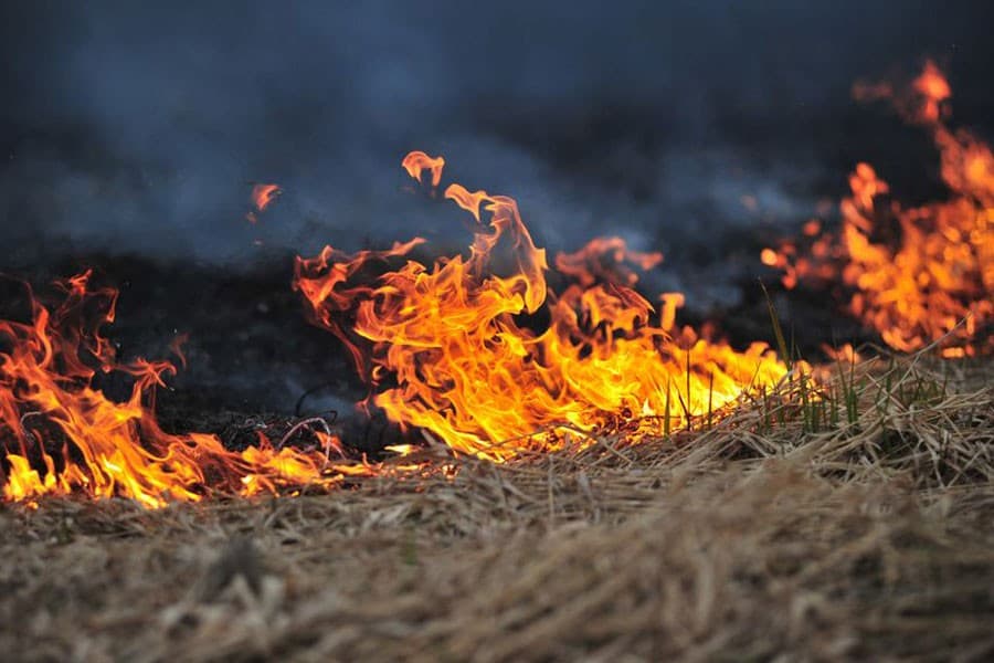 33 die as bush fire engulfs four villages in South Sudan