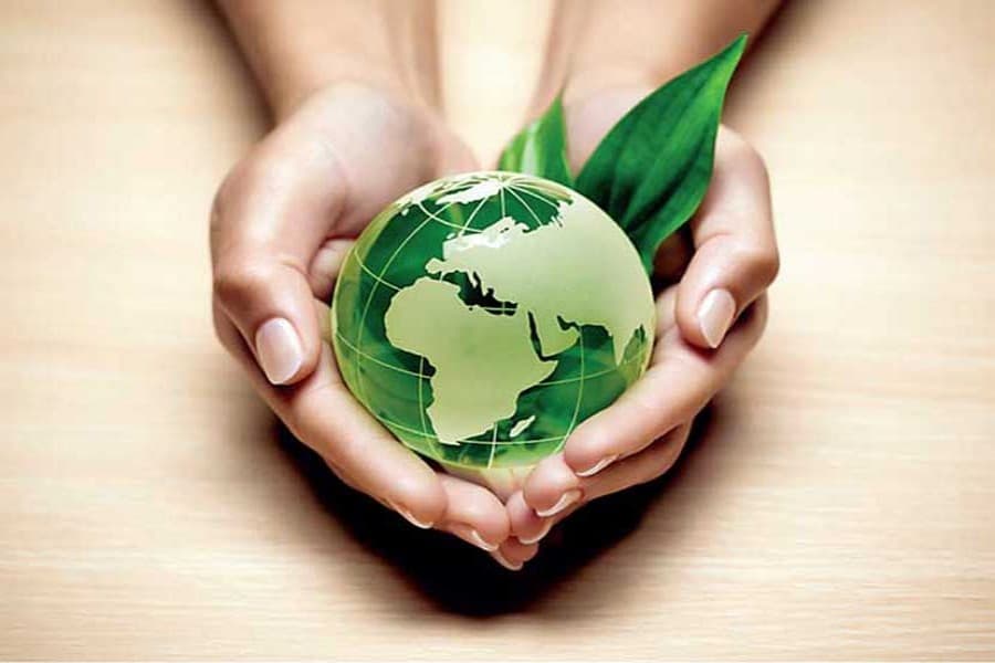 Role of private sector in promoting green business