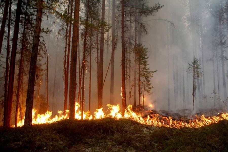 Effect of global warming on human life