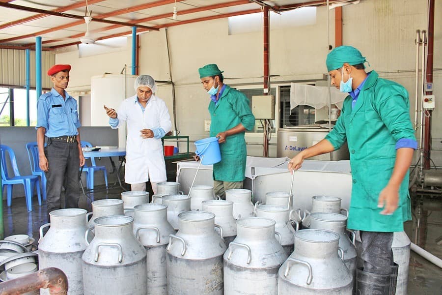 Raising milk production   