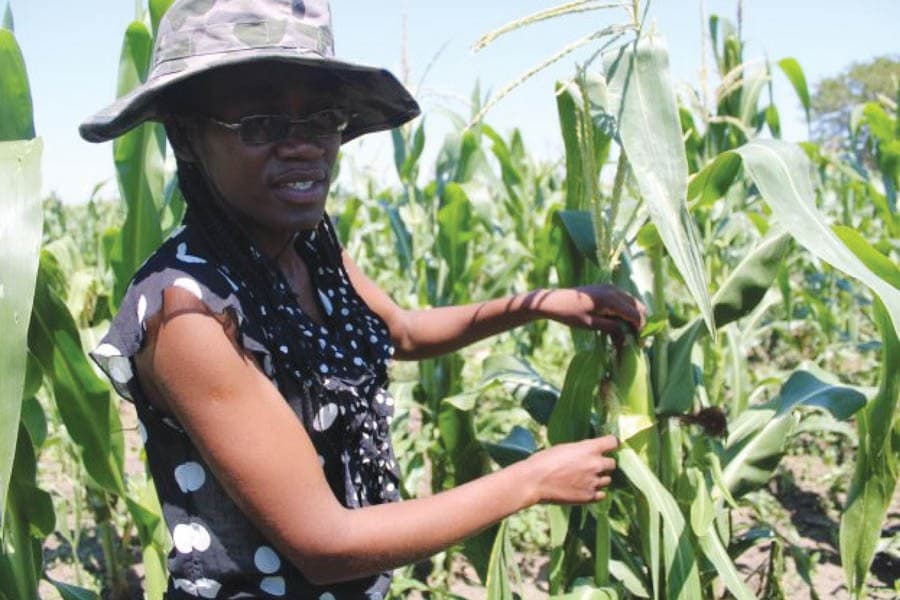 Blockchain releases farmers from the collateral trap