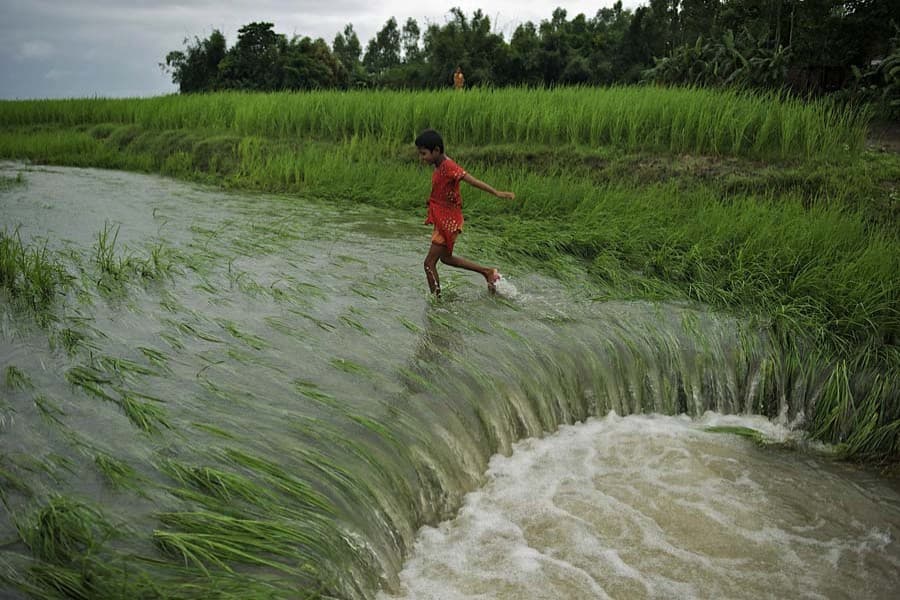 Crop insurance under PPP likely from this fiscal year