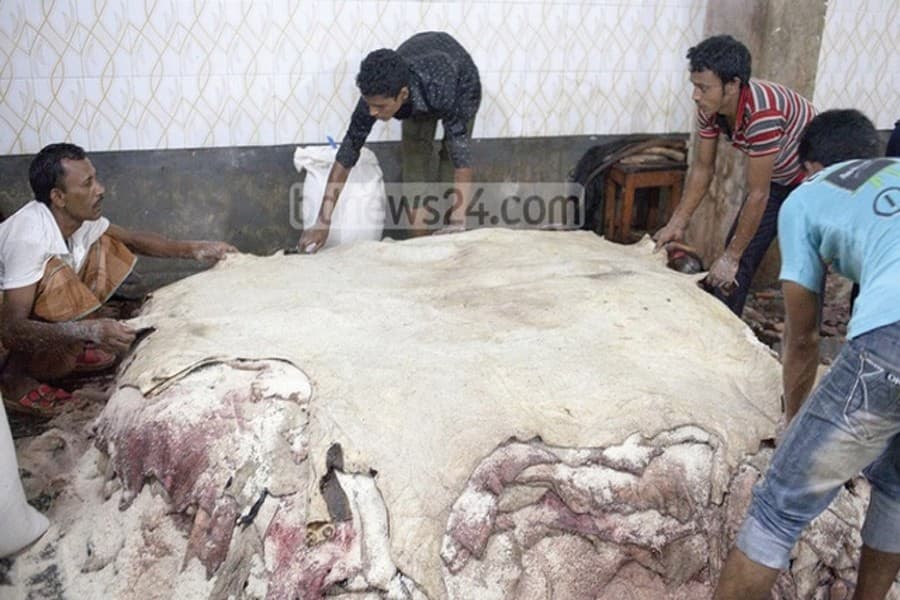 Leather sector primed to become leader in export diversification