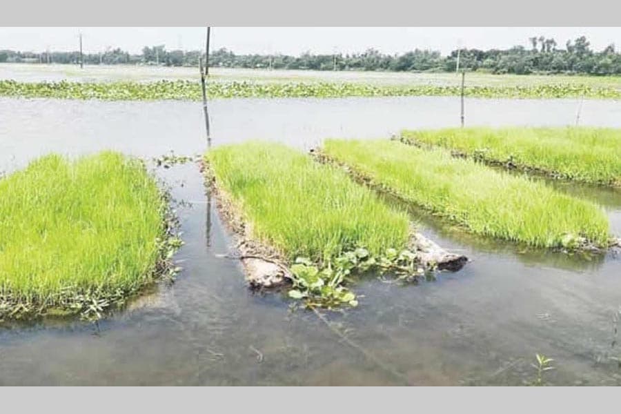 Floating seedbed for farmers
