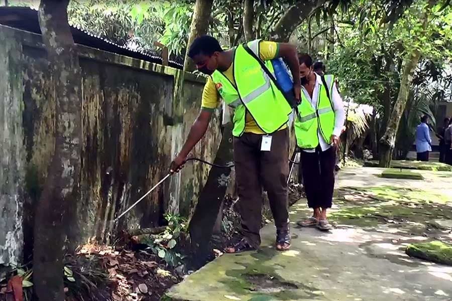 Climate change and rising global dengue risks