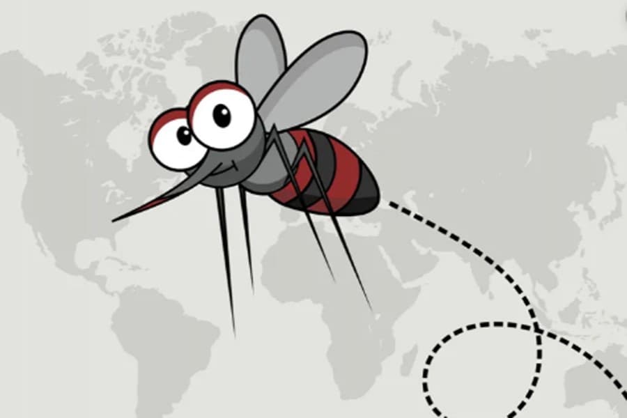 Why was World Mosquito Day not observed?