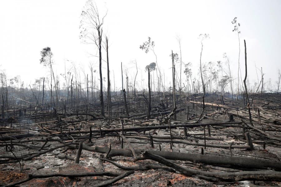 Brazil sends army to fight Amazon fires after EU threatens trade retaliation