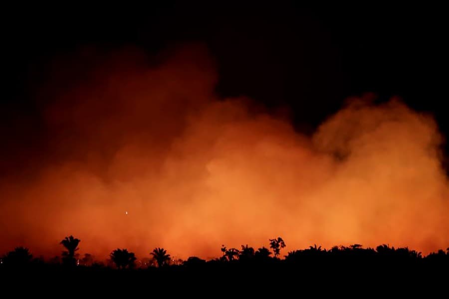 G7 leaders pledge $20.0m emergency fund to fight Amazon fires