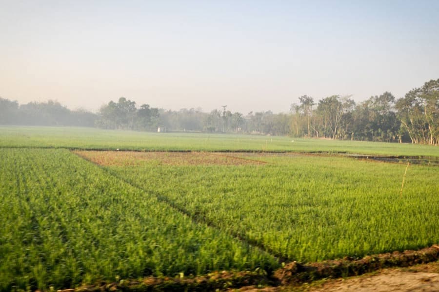 The state of crop insurance in Bangladesh