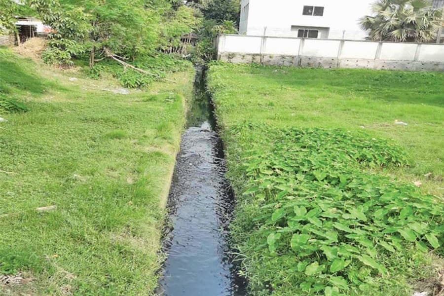 Century-old canal in Tangail town turns into a mosquito breeding centre