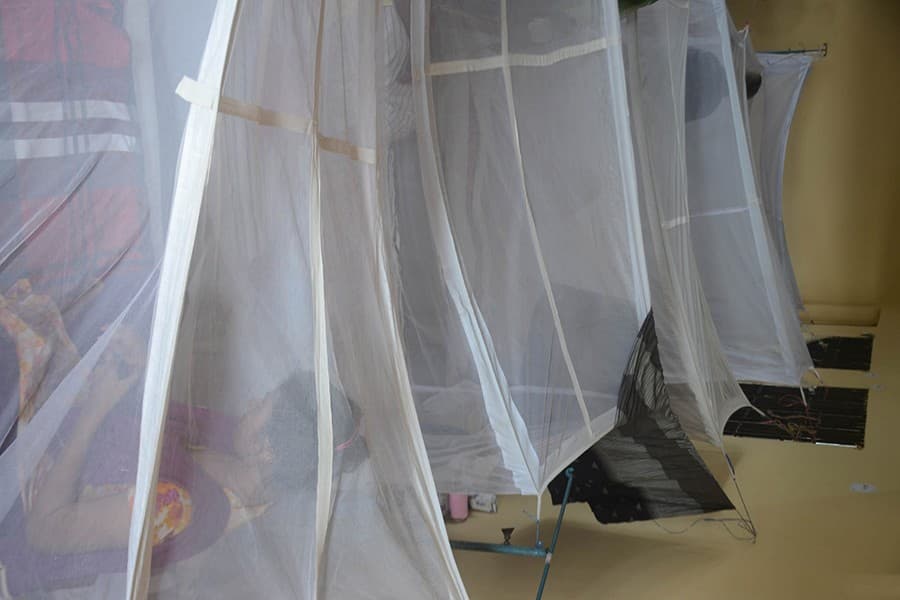 508 new dengue patients hospitalised in 24 hours