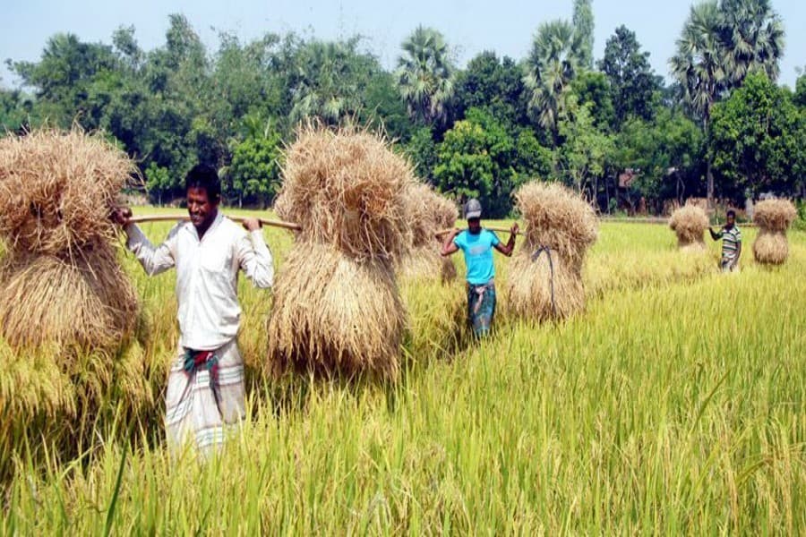 Record yield and policy imperative