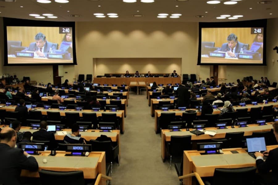 Bangladesh tables resolution on natural fibers use at UN