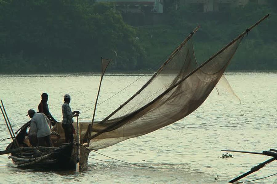 Ban on hilsa fishing: 307 fishermen jailed, fined in Manikganj