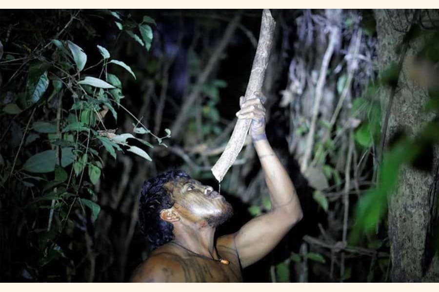 Illegal loggers kill Amazon warrior