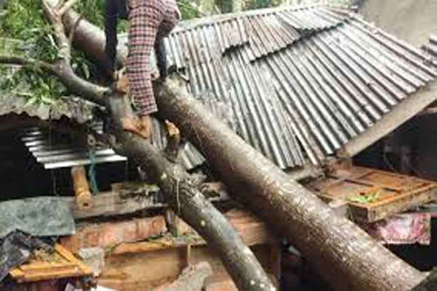 4,000-5,000 houses damaged by cyclone ‘Bulbul’: Minister