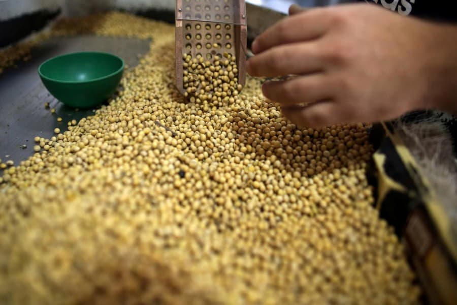 Argentina’s new govt hikes export taxes on disgruntled farmers